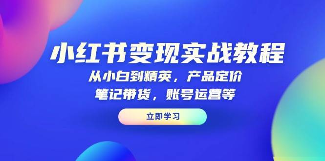 小红书变现实战教程：从小白到精英，产品定价，笔记带货，账号运营等-玖哥网创