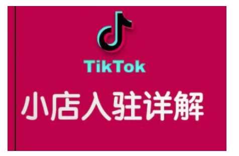 TikTok跨境小店运营全攻略，帮助你独立运营TK跨境小店的能力，实现销量增长-玖哥网创