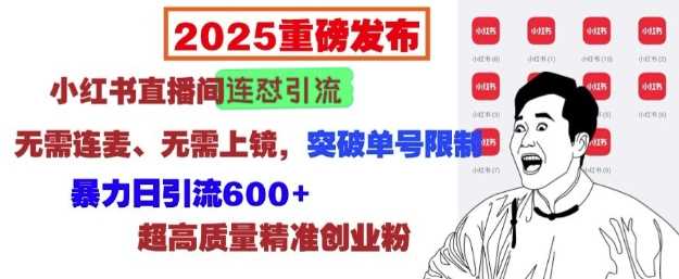 2025重磅发布：小红书直播间连怼引流，无需连麦、无需上镜，突破单号限制，暴力日引流600+-玖哥网创