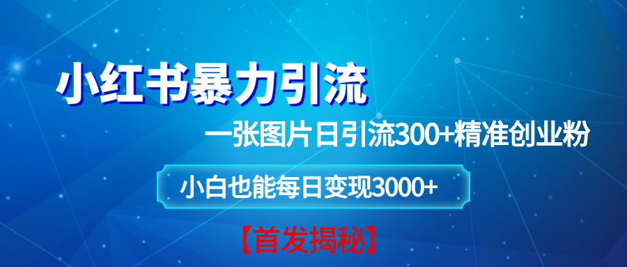 （13935期）小红书暴力引流法，一张图片日引 300+精准创业粉，每日稳定变现 3000+【揭秘】-玖哥网创