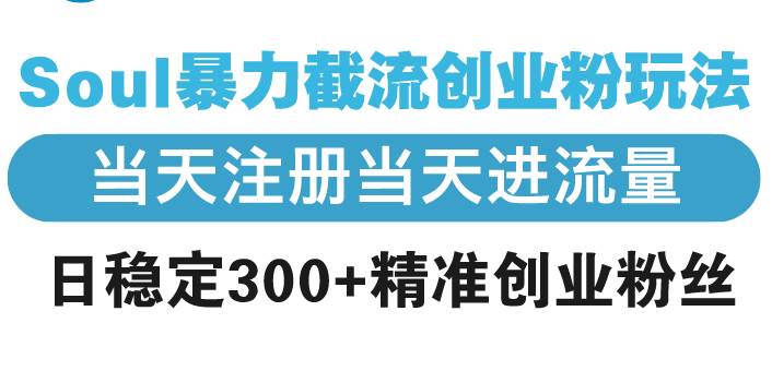 （13935期）Soul暴力截流创业粉玩法，当天注册当天进流量，日稳定300+精准创业粉丝-玖哥网创