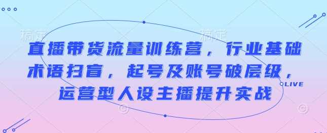 直播带货流量训练营，行业基础术语扫盲，起号及账号破层级，运营型人设主播提升实战-玖哥网创