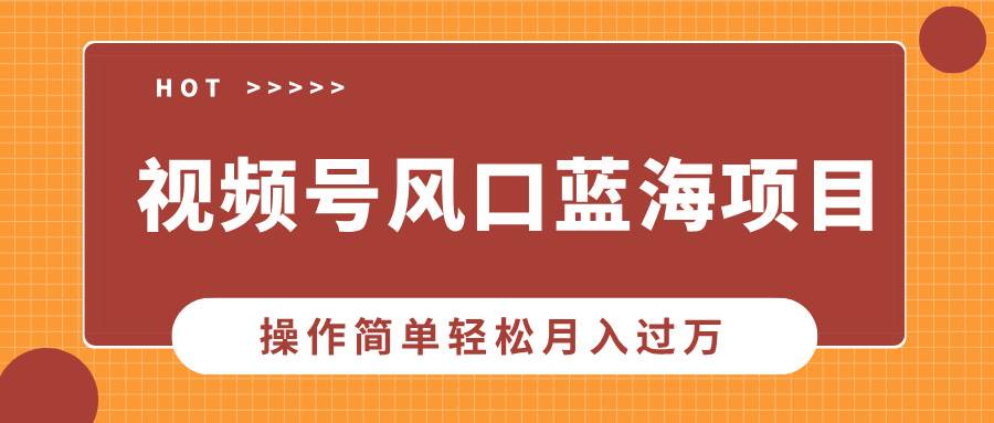 （13945期）视频号风口蓝海项目，中老年人的流量密码，操作简单轻松月入过万-玖哥网创