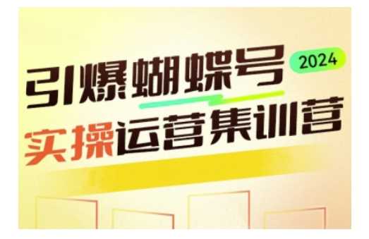 引爆蝴蝶号实操运营，助力你深度掌握蝴蝶号运营，实现高效实操，开启流量变现之路-玖哥网创