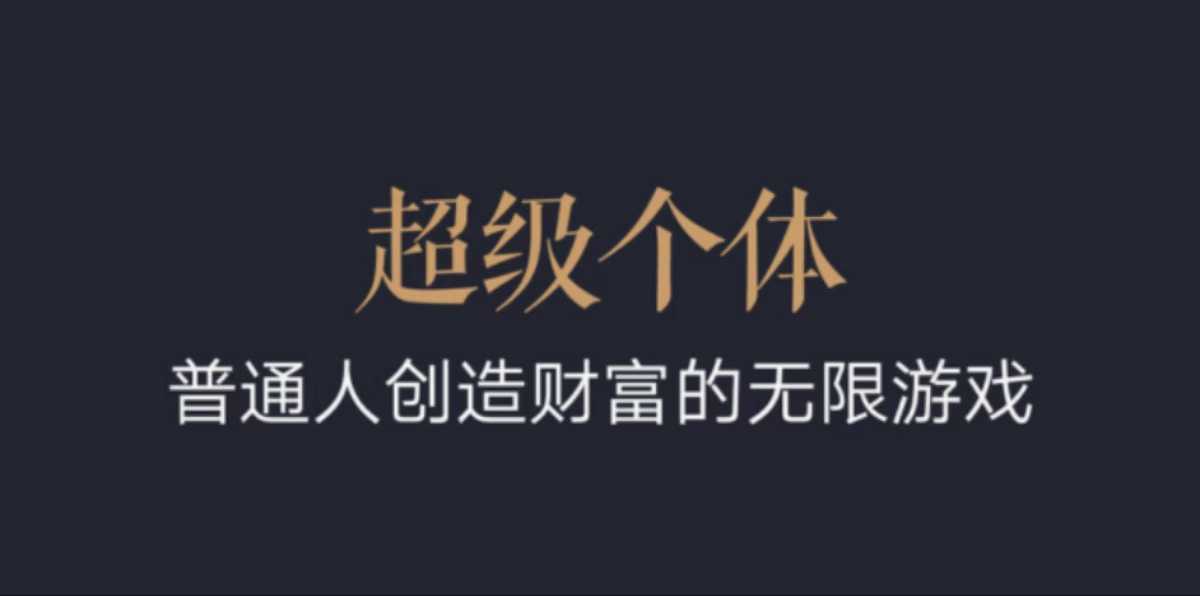 超级个体：2024-2025翻盘指南，普通人创造财富的无限游戏-玖哥网创