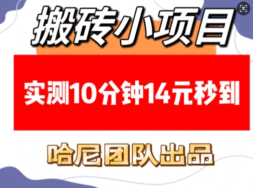 搬砖小项目，实测10分钟14元秒到，每天稳定几张(赠送必看稳定)-玖哥网创