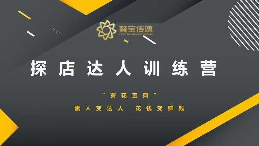 探店达人训练营，素人变达人，花钱变赚钱-玖哥网创