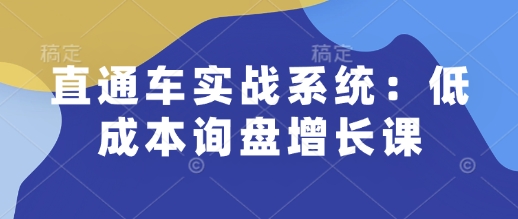 直通车实战系统：低成本询盘增长课，让个人通过技能实现升职加薪，让企业低成本获客，订单源源不断-玖哥网创