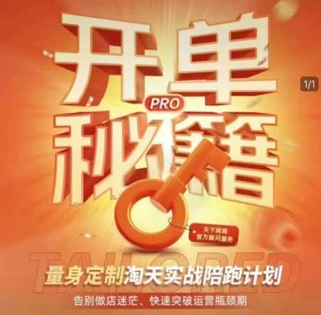 淘宝开单秘籍PRO，量身定制淘天实战陪跑计划，告别做店迷茫、快速突破运营瓶颈期-玖哥网创