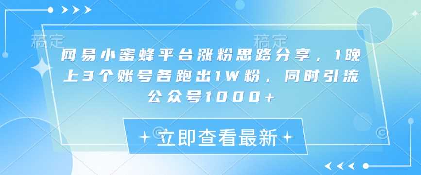 网易小蜜蜂平台涨粉思路分享，1晚上3个账号各跑出1W粉，同时引流公众号1000+-玖哥网创