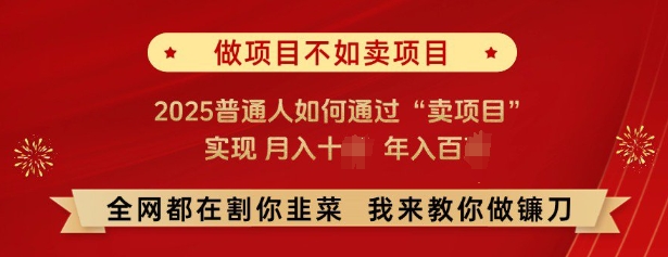 必看，做项目不如卖项目，2025普通人如何通过“卖项目”实现月入十个，年入百个-玖哥网创