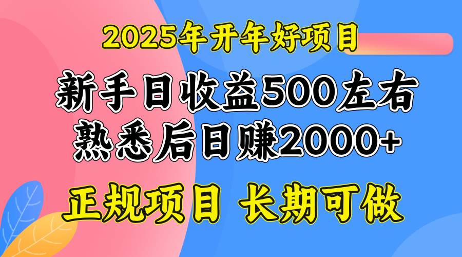 （14076期）2025开年好项目，单号日收益2000左右-玖哥网创