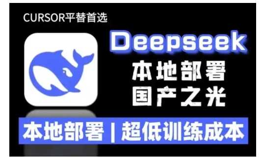 2025年deepseek R1 大型模型本地安装部署(文件+教程)本地部署，超低训练成本-玖哥网创