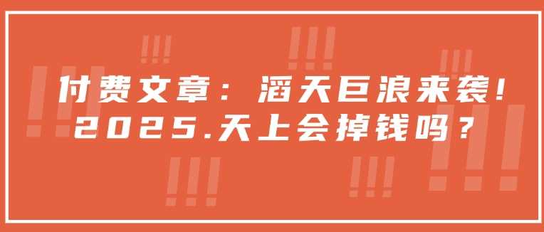 付费文章：滔天巨浪来袭！2025天上会掉钱吗？-玖哥网创