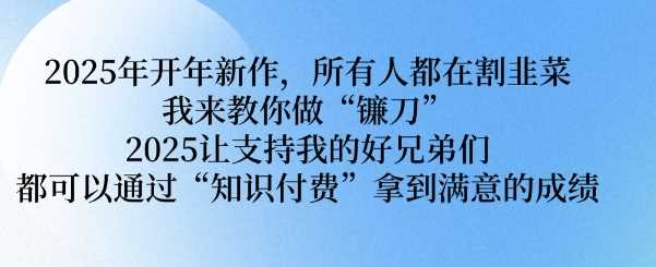 2025年开年新作，所有人都在割韭菜，我来教你做“镰刀” 2025让支持我的好兄弟们都可以通过“知识付费”拿到满意的成绩【揭秘】-玖哥网创