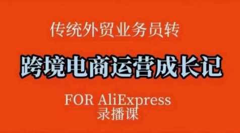 跨境电商速卖通运营课，​运营方法论+后台实操，逻辑清晰-玖哥网创