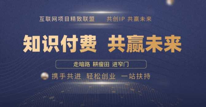 别人苦寻无果，为何他们靠知识付费卖项目 2025 年轻松年入100个?【揭秘】-玖哥网创