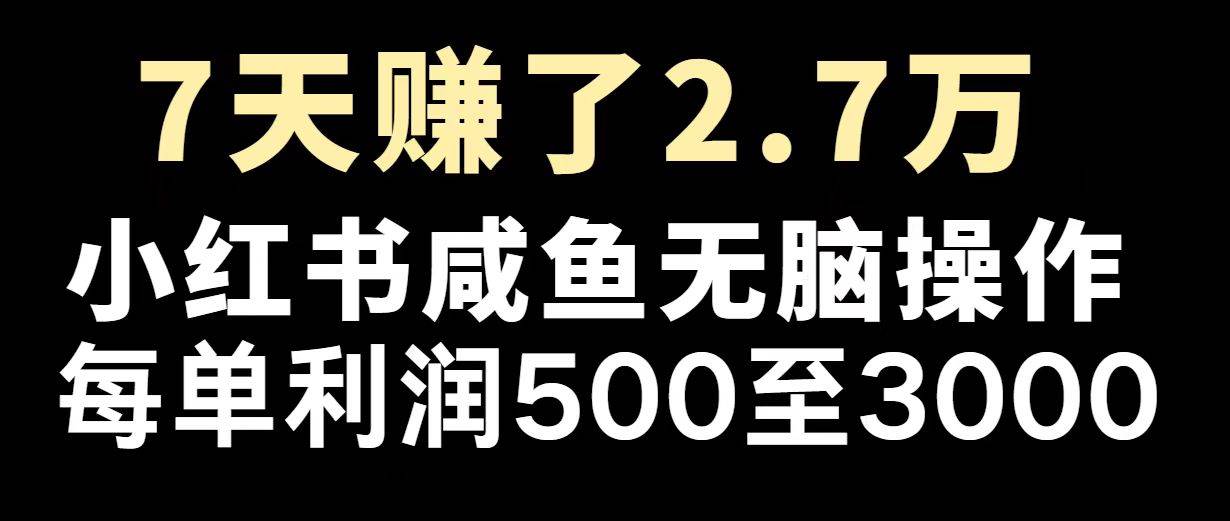 （14183期）最赚钱项目之一，2025爆火，逆风翻盘！-玖哥网创