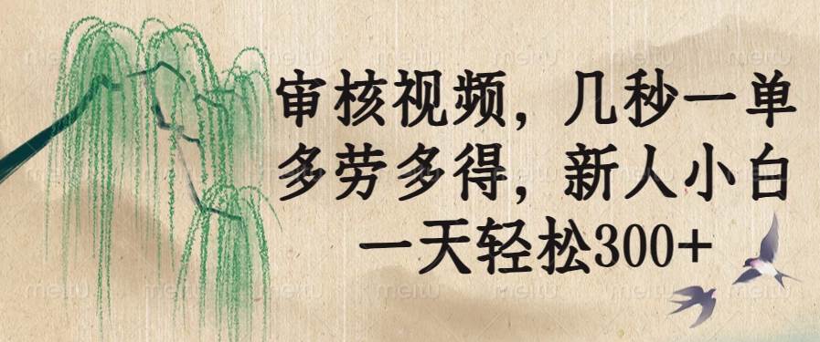 （14202期）审核视频，几秒一单，多劳多得，新人小白一天轻松300+-玖哥网创