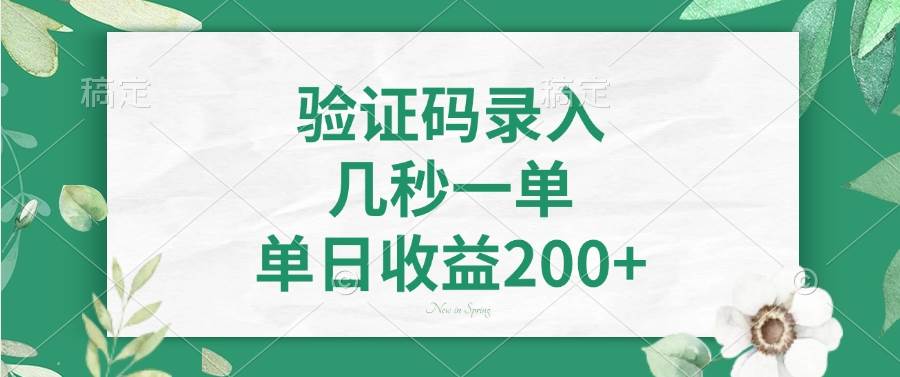 （14221期）验证码录入，几秒一单，单日收益200+-玖哥网创