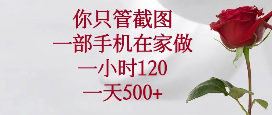 （14248期）你只管截图，一部手机在家做，一小时120，一天500+-玖哥网创