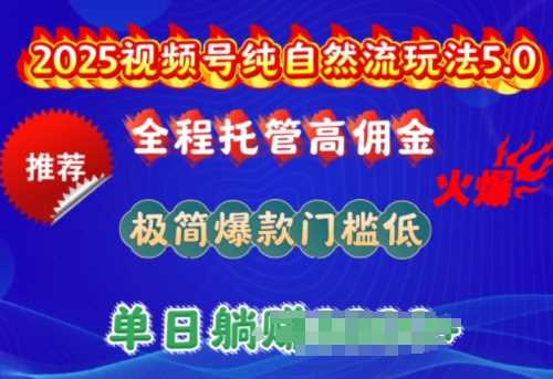 2025视频号纯自然流玩法5.0，全程托管高佣金，极简爆款门槛低，单日收益多张【揭秘】-玖哥网创