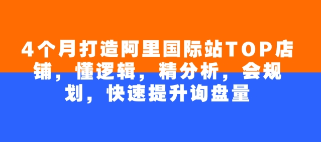 4个月打造阿里国际站TOP店铺，懂逻辑，精分析，会规划，快速提升询盘量-玖哥网创
