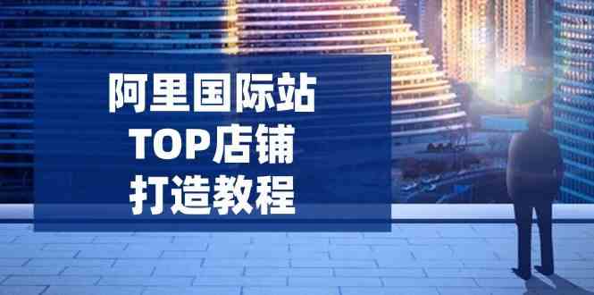 阿里国际站TOP店铺打造教程：涵盖平台到高阶，解决运营难题，提升询盘-玖哥网创