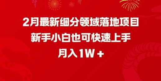 2月最新细分领域落地项目，新手小白也可快速上手，月入1W-玖哥网创