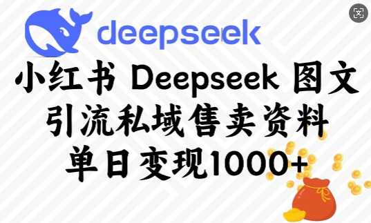 小红书Deepseek图文引流私域售卖资料，单日变现多张-玖哥网创