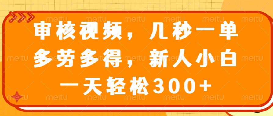 （14294期）审核视频，几秒一单，多劳多得，新人小白一天轻松300+-玖哥网创