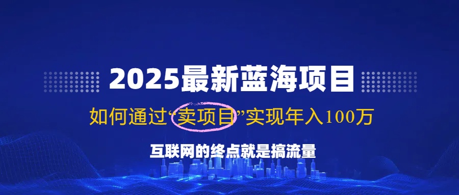 （14305期）2025最新蓝海项目，零门槛轻松复制，月入10万+，新手也能操作！-玖哥网创