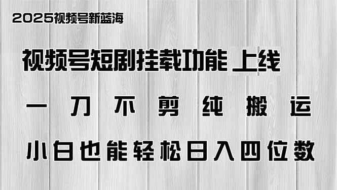 （14310期）视频号短剧挂载功能上线，一刀不剪纯搬运，小白也能轻松日入四位数-玖哥网创