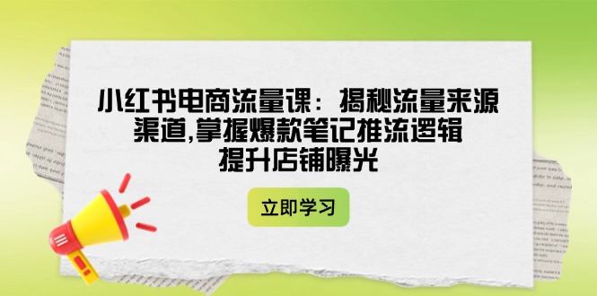 （14318期）小红书电商流量课：揭秘流量来源渠道,掌握爆款笔记推流逻辑,提升店铺曝光-玖哥网创