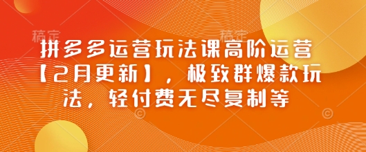 拼多多运营玩法课高阶运营【2月更新】，极致群爆款玩法，轻付费无尽复制等-玖哥网创