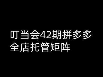 叮当会拼多多打爆班原创高阶技术第42期，拼多多全店托管矩阵-玖哥网创