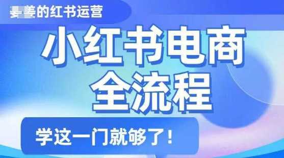 小红书电商全流程，精简易懂，从入门到精通，学这一门就够了-玖哥网创