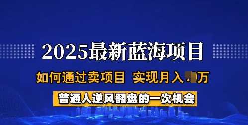 2025蓝海项目，普通人如何通过卖项目，实现月入过W，全过程【揭秘】-玖哥网创