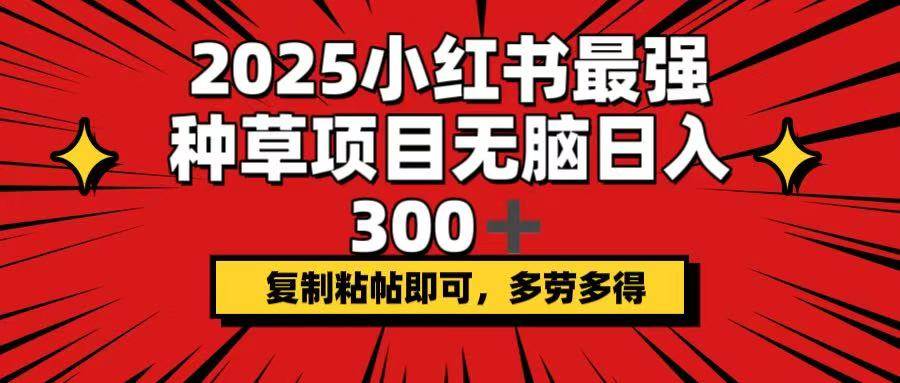 （14375期）2025小红书最强种草项目，无脑日入300+，复制粘帖即可，多劳多得-玖哥网创