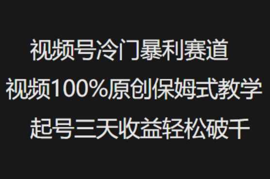 视频号冷门暴利赛道视频100%原创保姆式教学起号三天收益轻松破千-玖哥网创