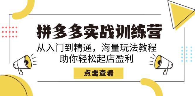 （14392期）拼多多实战训练营，从入门到精通，海量玩法教程，助你轻松起店盈利-玖哥网创