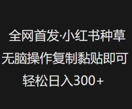 全网首发，小红书种草无脑操作，复制黏贴即可，轻松日入3张-玖哥网创