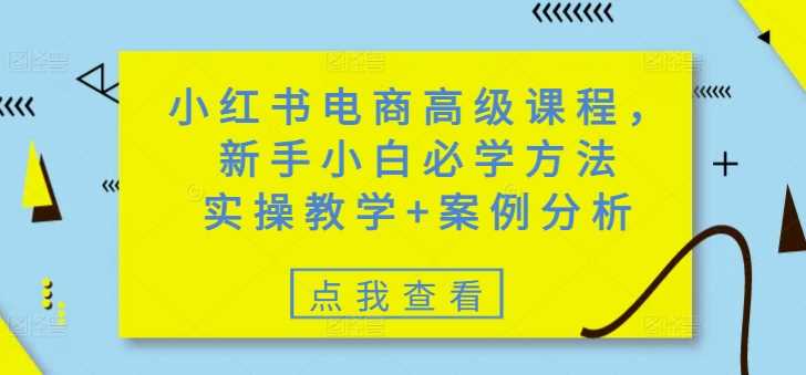 小红书电商高级课程，新手小白必学方法，实操教学+案例分析-玖哥网创