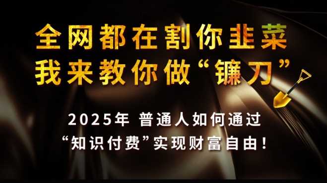 全网都在割你韭菜，我来教你做镰刀,2025普通人如何通过知识付费，实现财F自由【揭秘】-玖哥网创