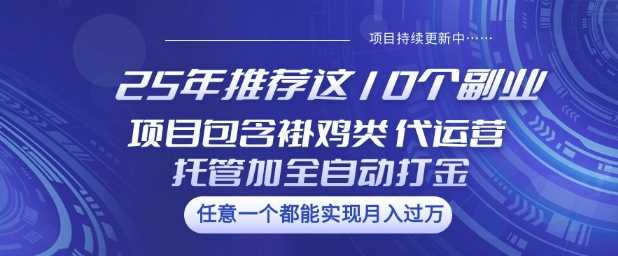 25年推荐这10个副业项目包含褂鸡类、代运营托管类、全自动打金类【揭秘】-玖哥网创