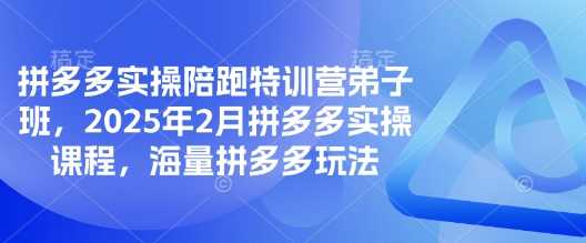 拼多多实操陪跑特训营弟子班，2025年2月拼多多实操课程，海量拼多多玩法-玖哥网创