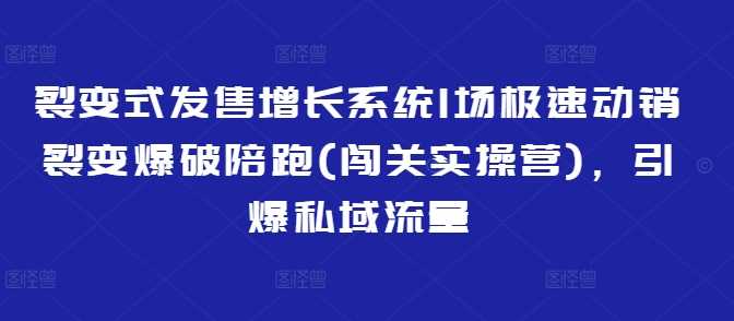 裂变式发售增长系统1场极速动销裂变爆破陪跑(闯关实操营)，引爆私域流量-玖哥网创