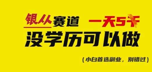 靠银从证书，日入多张，会截图就能做，直接抄答案(附：银从合集)-玖哥网创