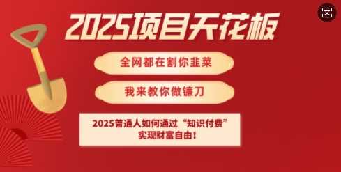 2025项目天花板普通人如何通过知识付费，实现财F自由【揭秘】-玖哥网创