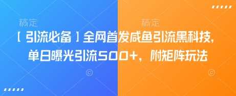 【引流必备】全网首发咸鱼引流黑科技，单日曝光引流500+，附矩阵玩法【揭秘】-玖哥网创